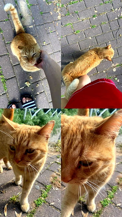 feelbetterinmysweater feelbetterinmysweater archive video