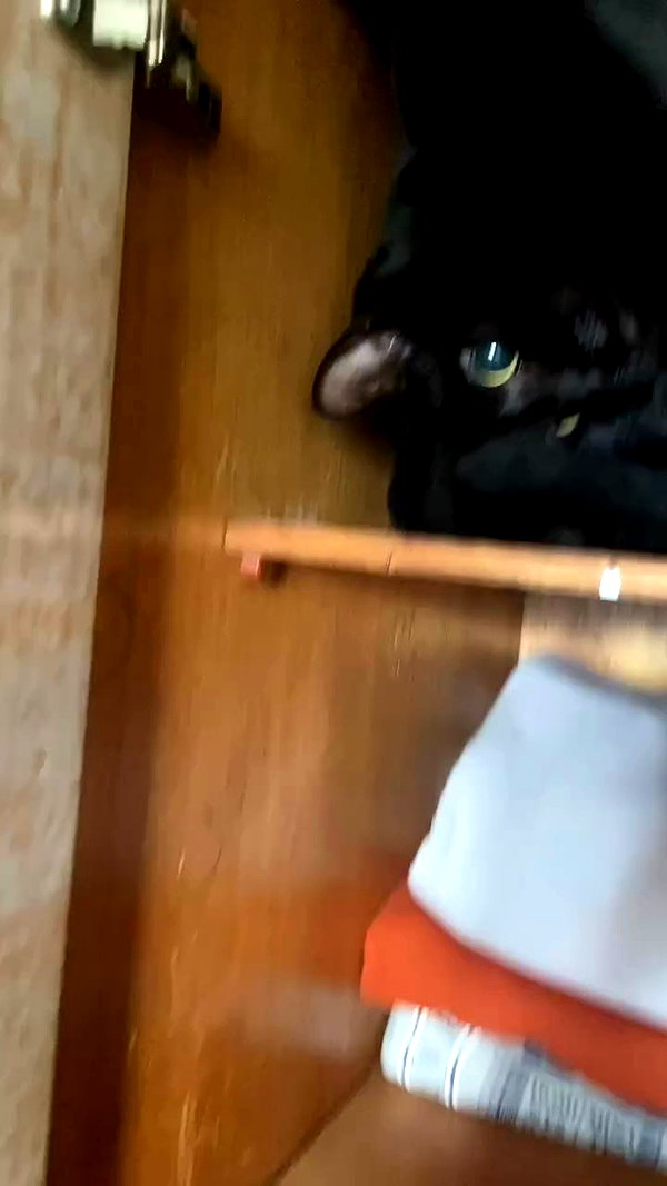 feelbetterinmysweater archive video preview
