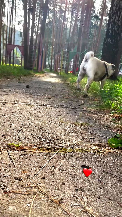 nyityam nyityam archive video