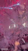 galsverchik1 Altpins Profile Picture