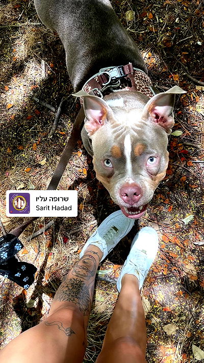 kesemgreenyer kesemgreenyer archive video