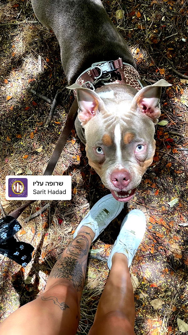 kesemgreenyer archive video preview