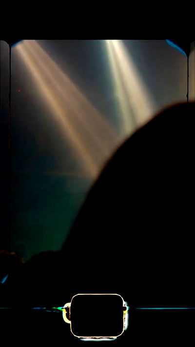 tiliaoficial tiliaoficial archive video