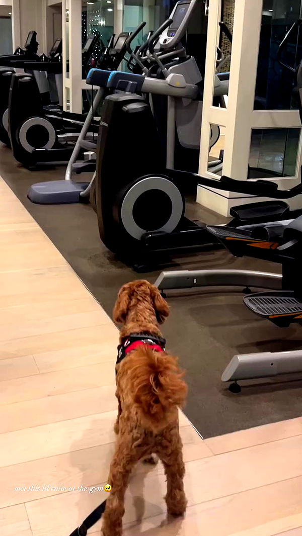 payton.r archive video preview