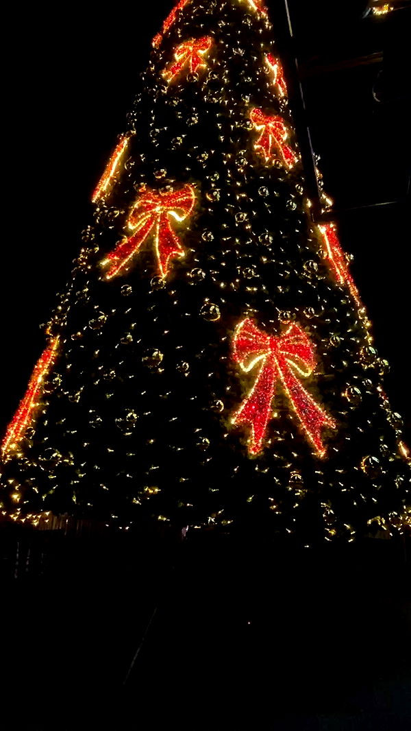 feelbetterinmysweater archive video preview