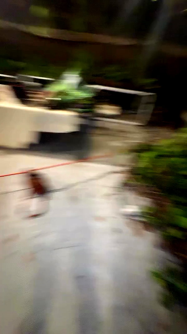 ___shachar archive video preview