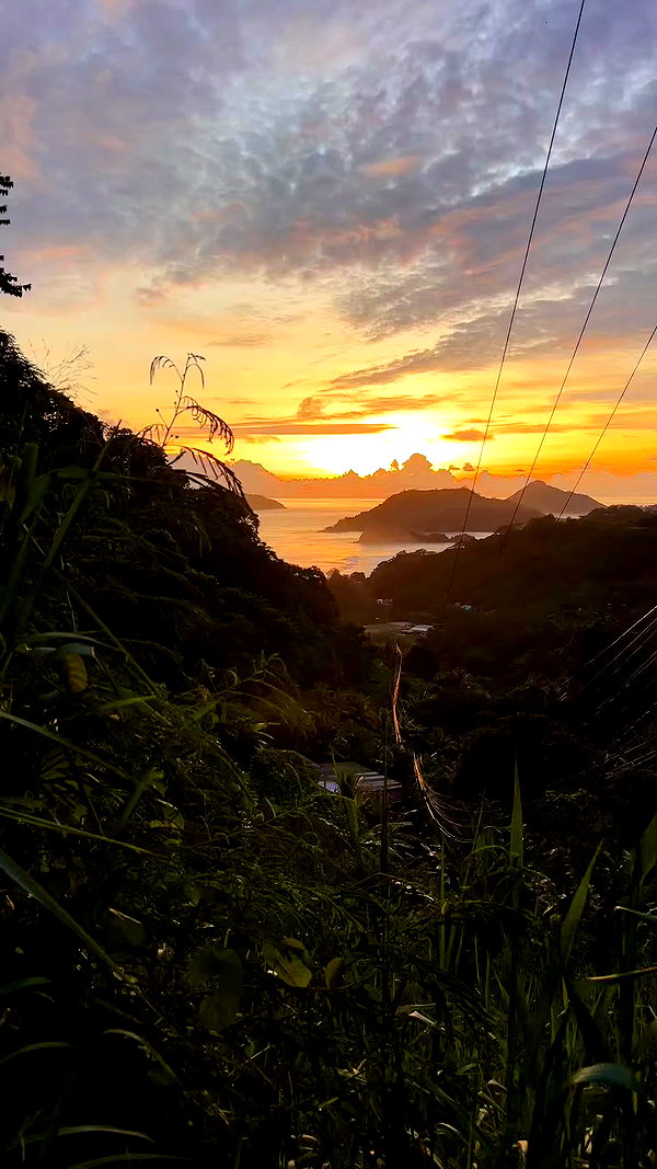 noa_mendel_ archive video preview