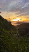 noa_mendel_ Altpins Profile Picture