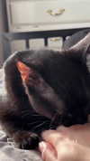 carmen.lial Altpins Profile Picture