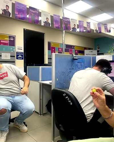 tuliprivet tuliprivet archive video