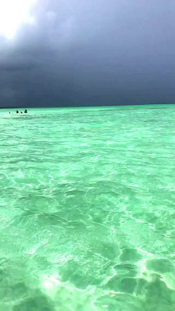 alinaaignatova archive video preview