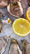 diana_polin Altpins Profile Picture