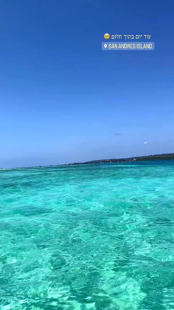 roni__moalem archive video preview