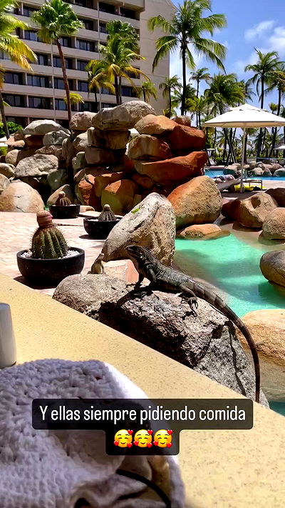 shunli__mei shunli__mei archive video