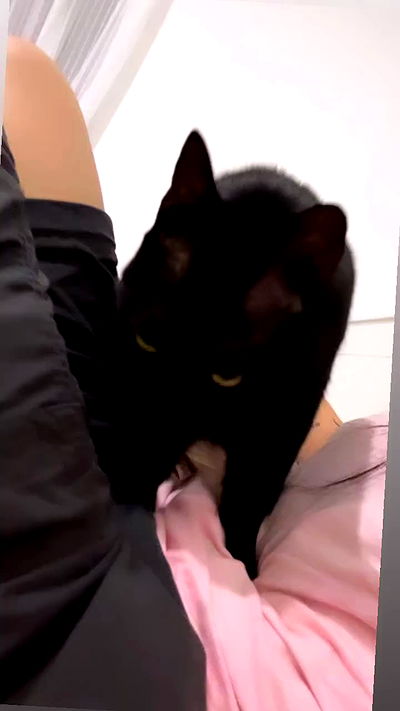 hellokittyangel666 hellokittyangel666 archive video