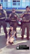 cassyxhuang Altpins Profile Picture