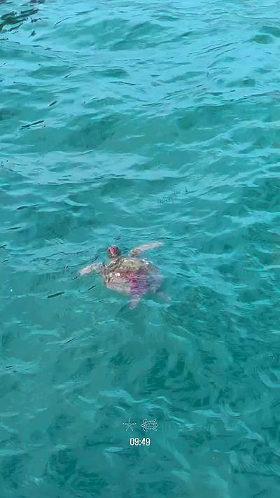 eusandyyh eusandyyh archive video