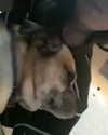lior_levrun Altpins Profile Picture