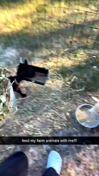 sophieraiin sophieraiin archive video