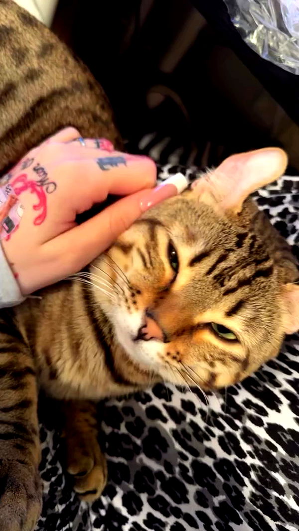 laurinchhhe archive video preview