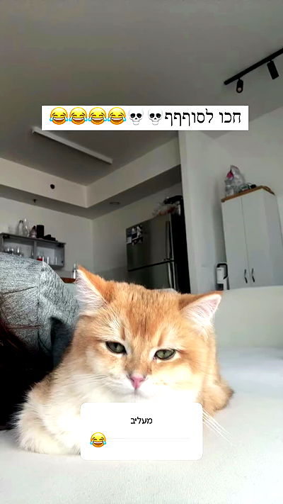 itsilanosh itsilanosh archive video