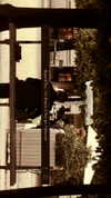user364002 Altpins Profile Picture