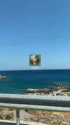agam__mallka Altpins Profile Picture