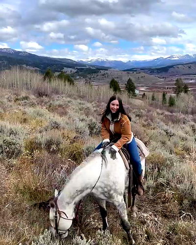 sophiemudd sophiemudd archive video