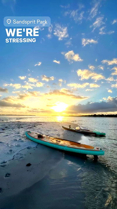 edin.karyn edin.karyn archive video