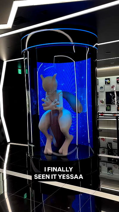 wuvkyu wuvkyu archive video