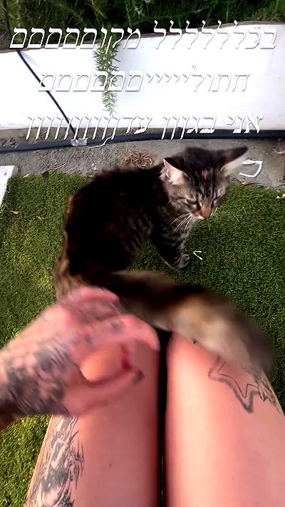 xzot1_met4xx xzot1_met4xx archive video