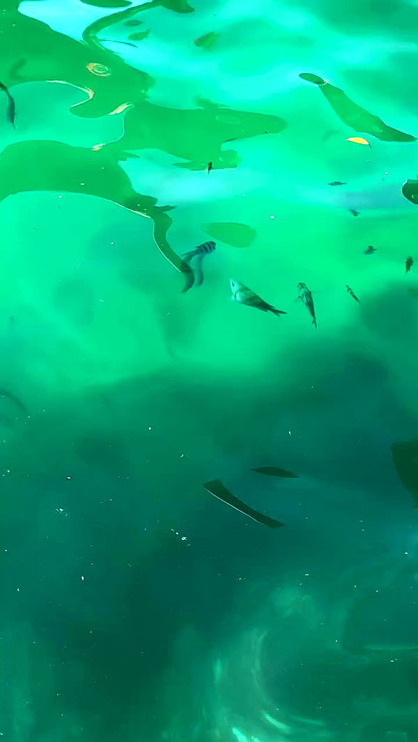 qiyokiuu archive video preview