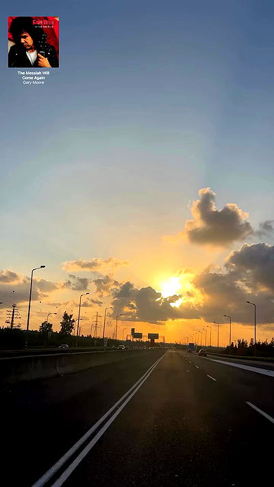 simp_for_cats_ simp_for_cats_ archive video