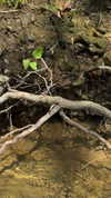 sarah.anne.dipity Altpins Profile Picture