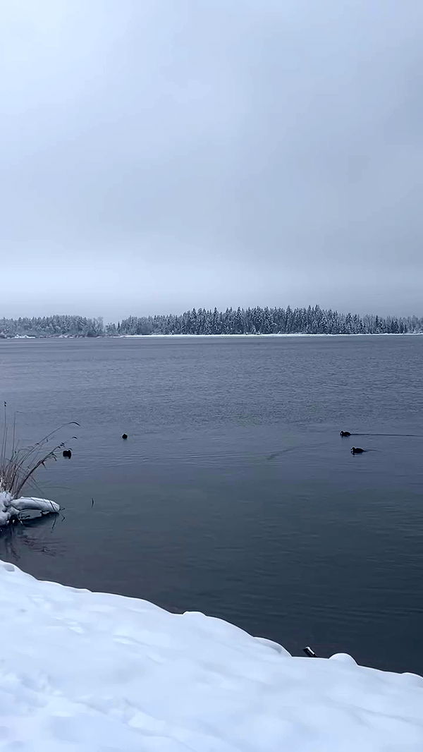 payton.r archive video preview