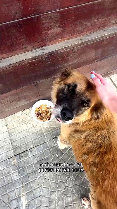 kaarolzx kaarolzx archive video