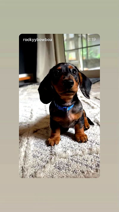 _._dianush._ _._dianush._ archive video