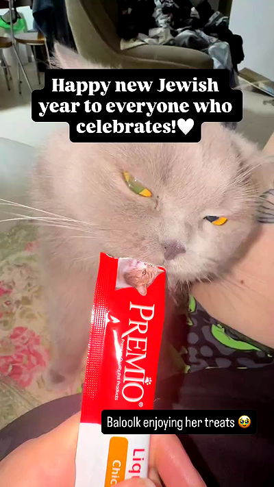 chibinekopurr chibinekopurr archive video