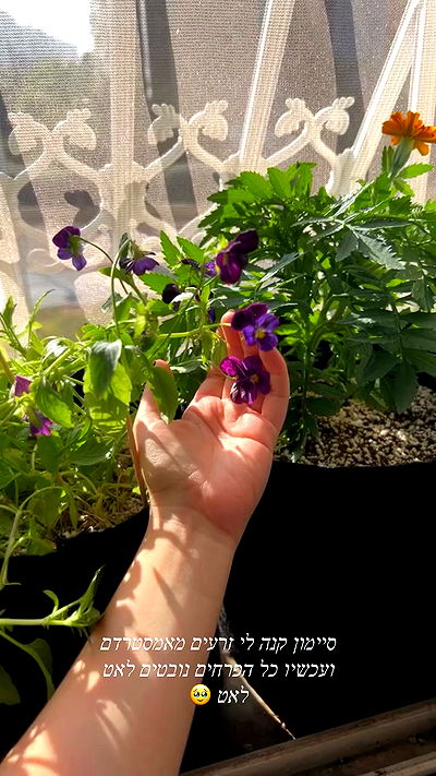 _wizardmidget_ _wizardmidget_ archive video