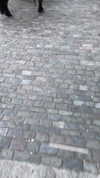 omer._shalom Altpins Profile Picture