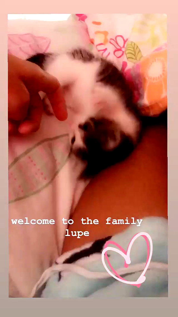 haileyy.ramirez archive video preview