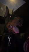 miss_baby007 Altpins Profile Picture