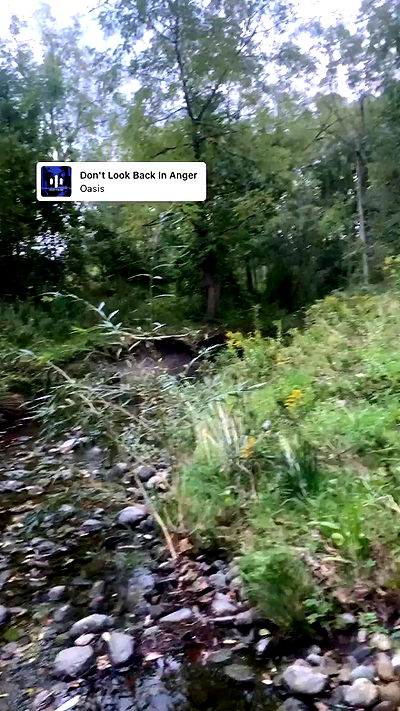 9bitez 9bitez archive video