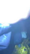 aleximarianna Altpins Profile Picture