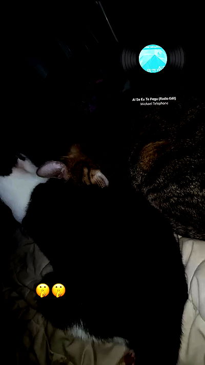 moonyyyya moonyyyya archive video