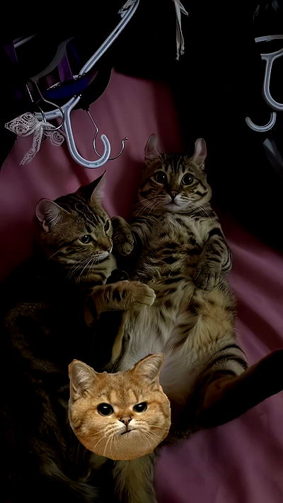 laurinchhhe laurinchhhe archive video