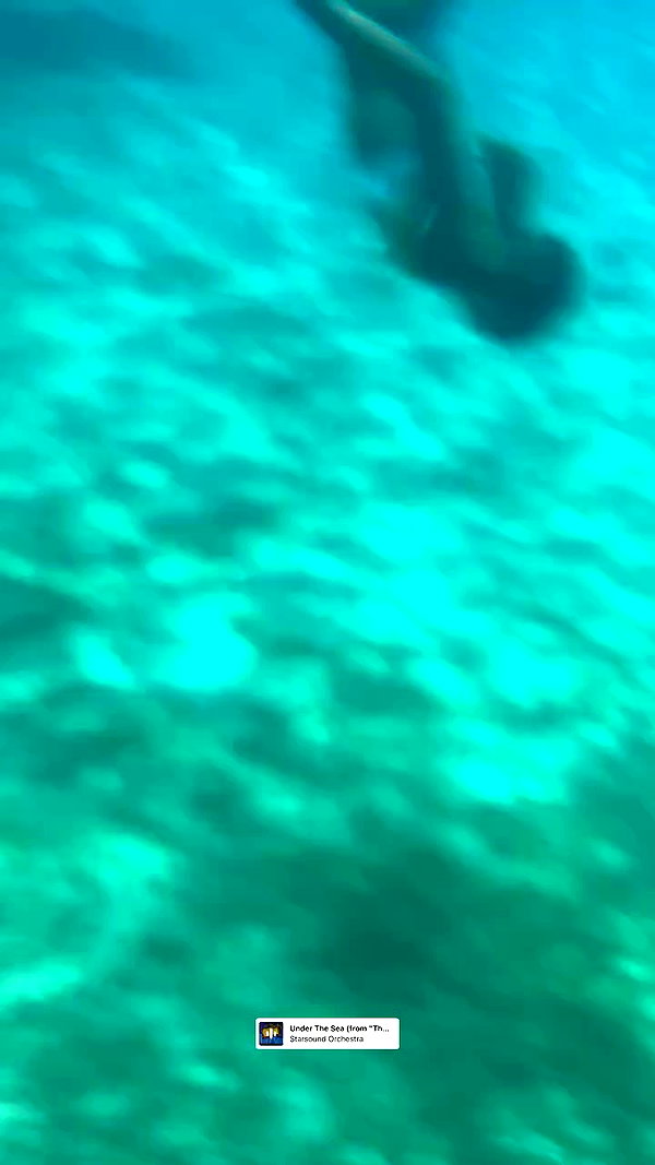 roni__moalem archive video preview