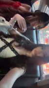 caerynn Altpins Profile Picture