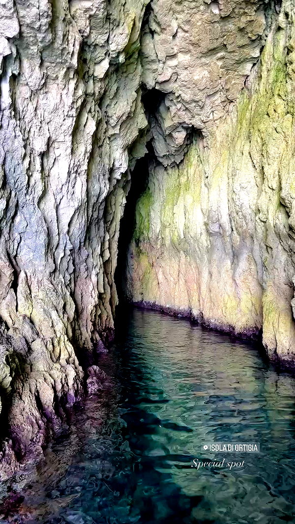noa_mendel_ archive video preview