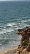 veronika_grish Altpins Profile Picture
